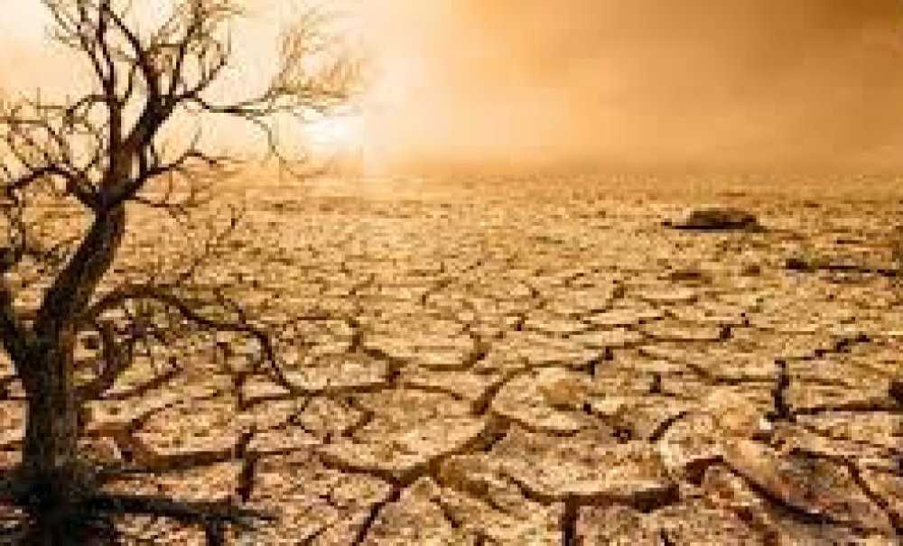 Kuraklık Çiftçiyi Korkutuyor!