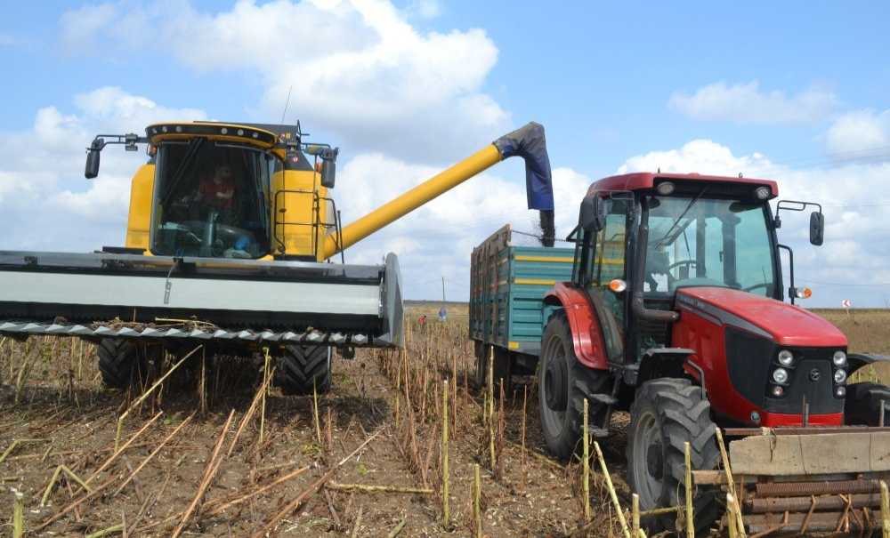 Kuraklık Çiftçiyi Korkutuyor!