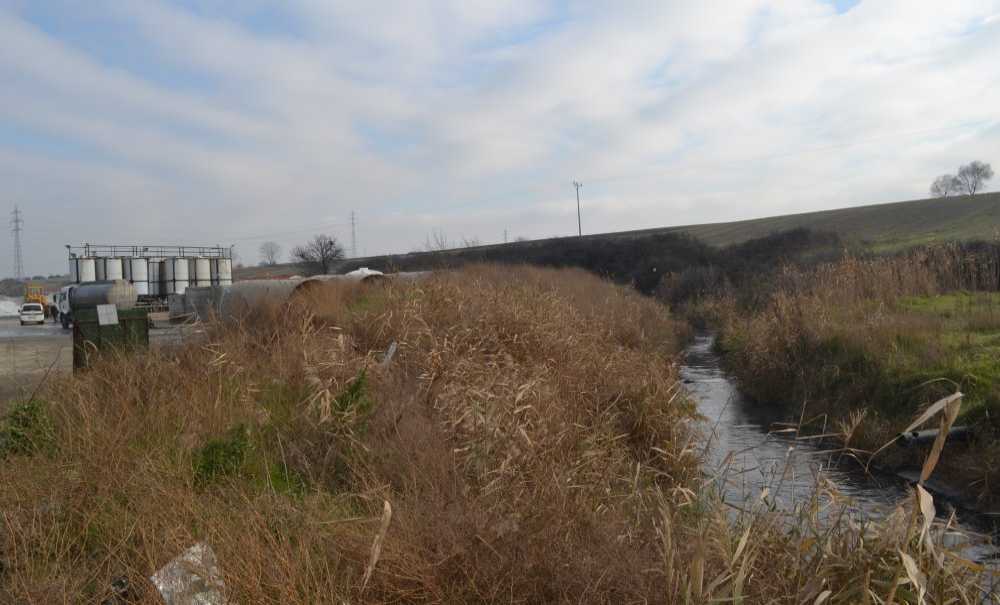 “Ergene Nehri Adeta Kanalizasyon Haline Geldi”