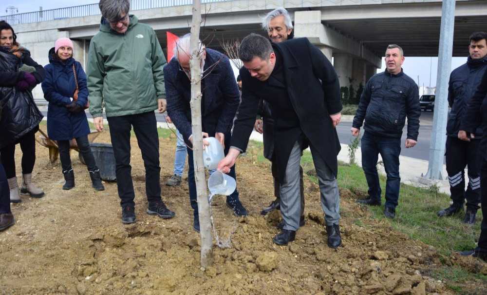 Ted Çorlu Koleji Fidanları Toprakla Buluşturdu