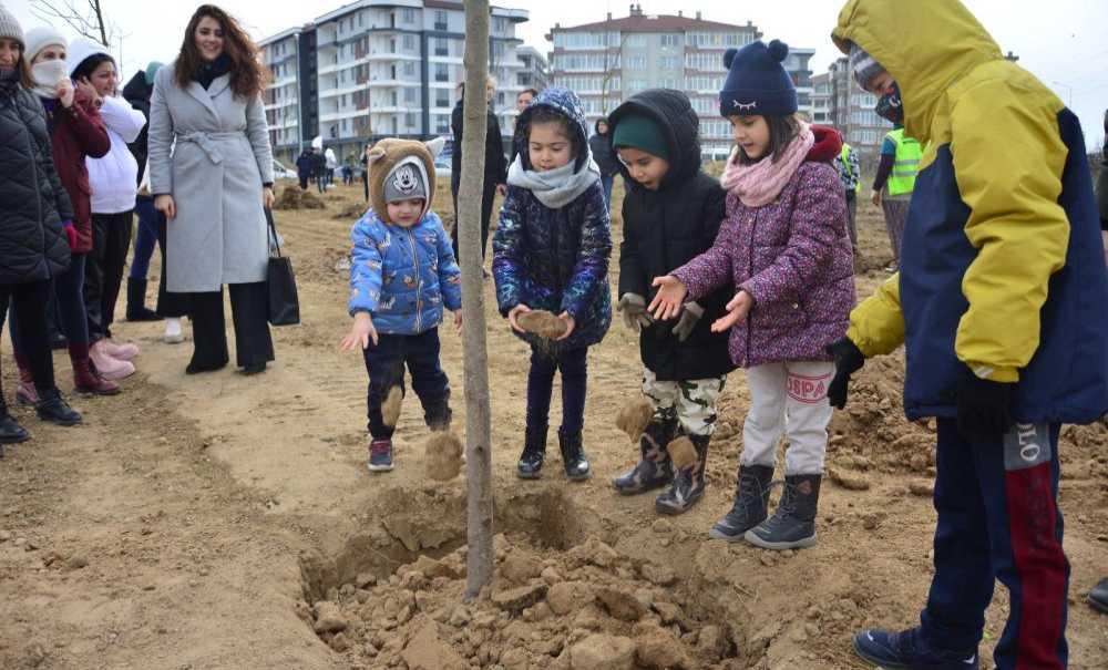 Ted Çorlu Koleji Fidanları Toprakla Buluşturdu