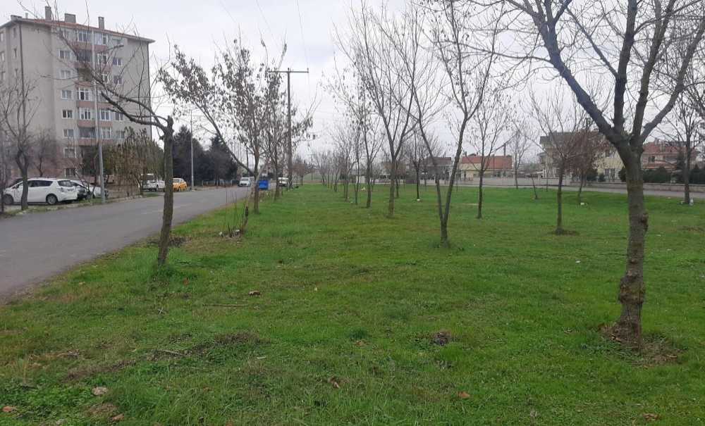 Mahalle Sakinleri Bu Alanda Düzenleme Bekliyor