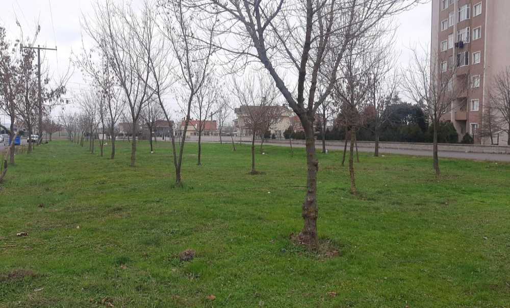 Mahalle Sakinleri Bu Alanda Düzenleme Bekliyor