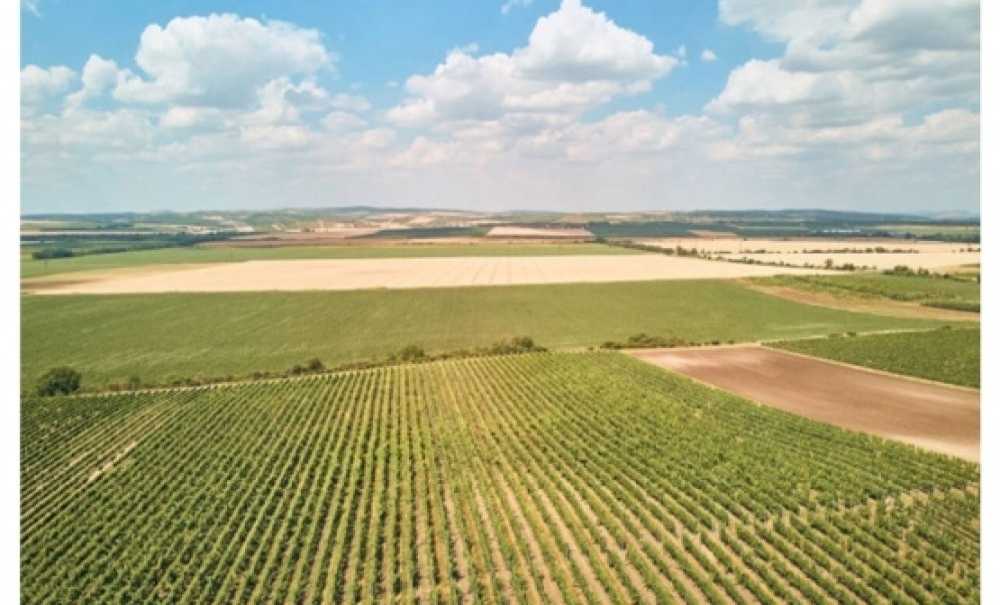 “Ciddi Bir Kuraklıkla Karşı Karşıyayız!”