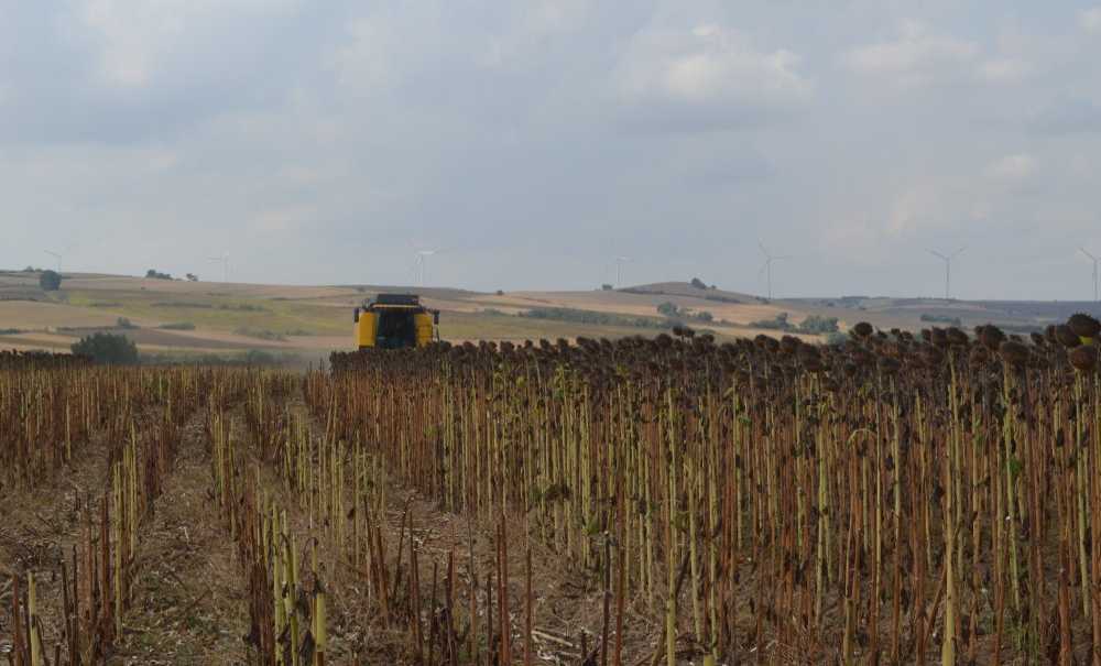 “Ciddi Bir Kuraklıkla Karşı Karşıyayız!”