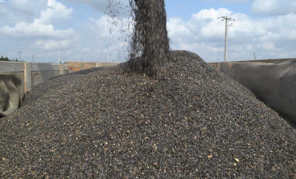 “Ciddi Bir Kuraklıkla Karşı Karşıyayız!”