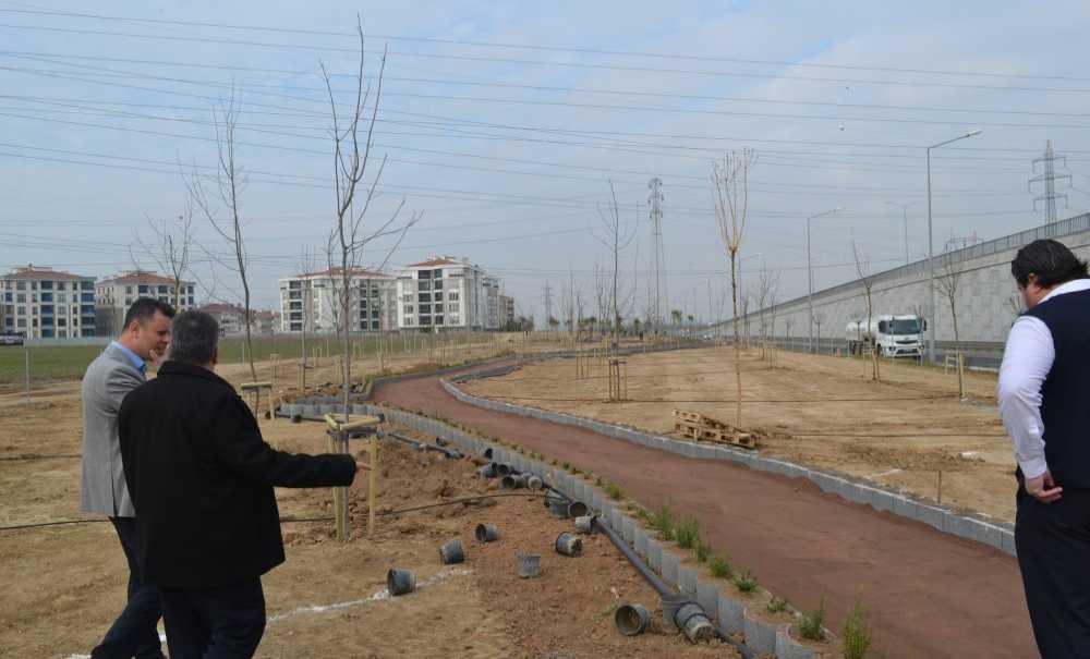 “Yeşil Alan Yaratmak İçin Çalışıyoruz”