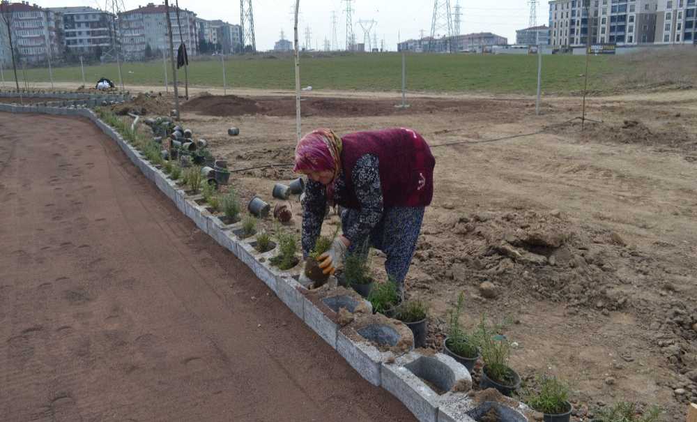 “Yeşil Alan Yaratmak İçin Çalışıyoruz”