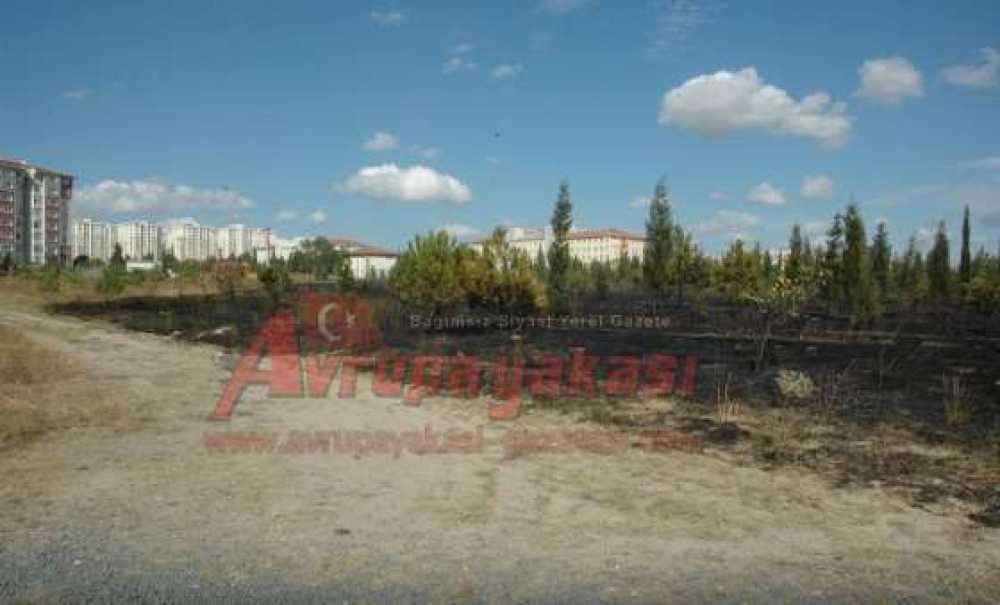 5. Kolordu Hatıra Ormanı Alevlere Teslim Oldu