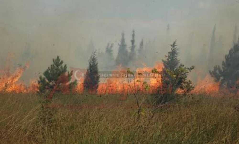 5. Kolordu Hatıra Ormanı Alevlere Teslim Oldu