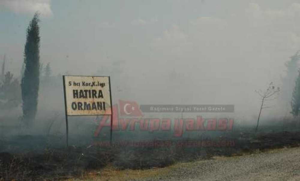 5. Kolordu Hatıra Ormanı Alevlere Teslim Oldu