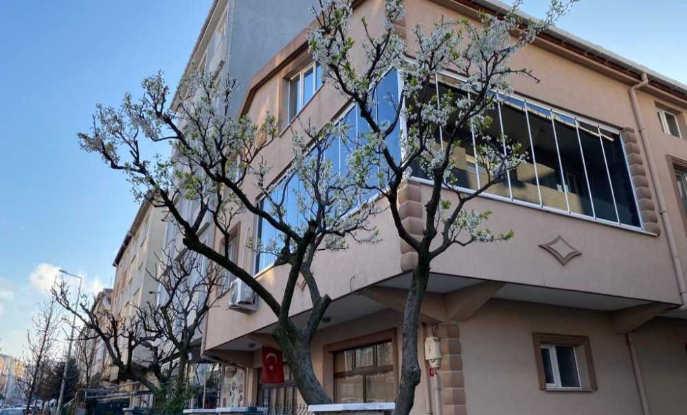 Açan Çiçekler Dökülmeye Başladı