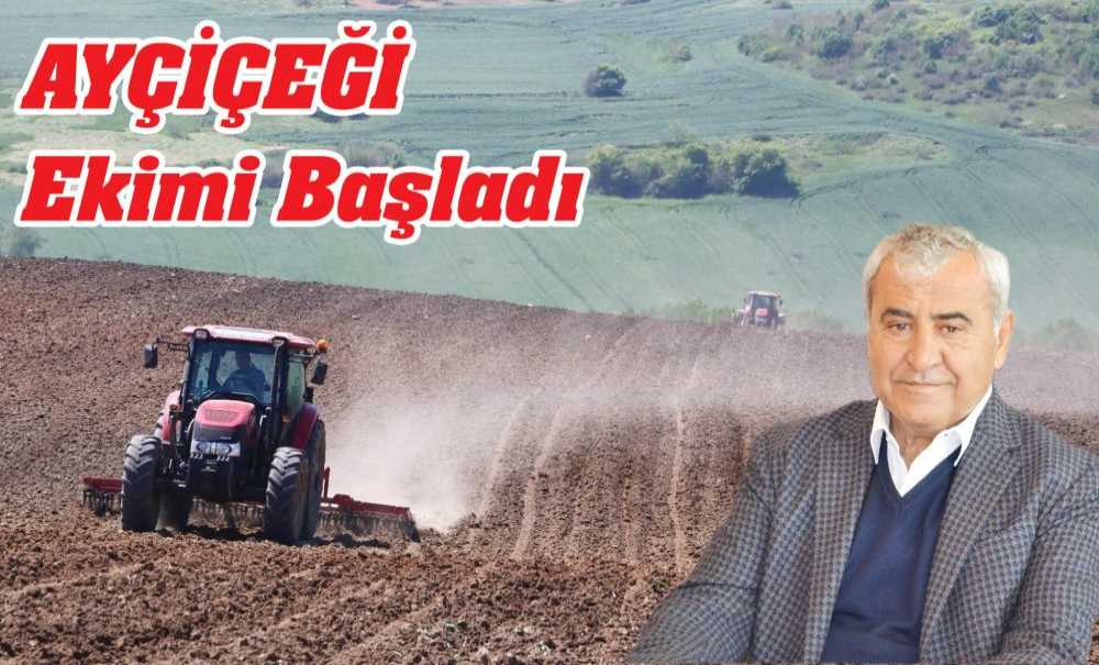 Ayçi̇çeği̇ Eki̇mi̇ Başladi