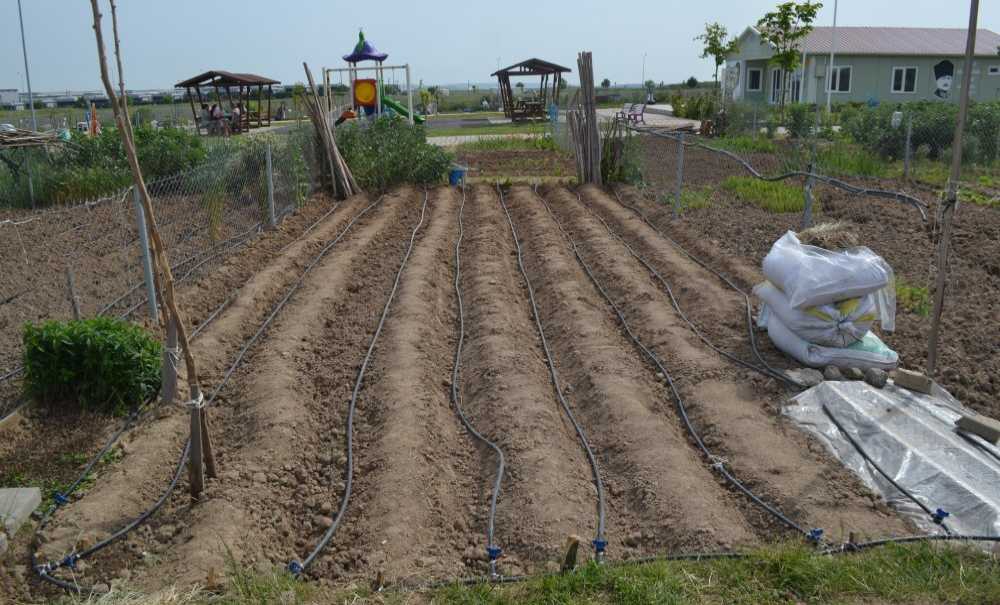 Hobi Bahçesi Huzur Veriyor, 2'Ncisi Açılabilir