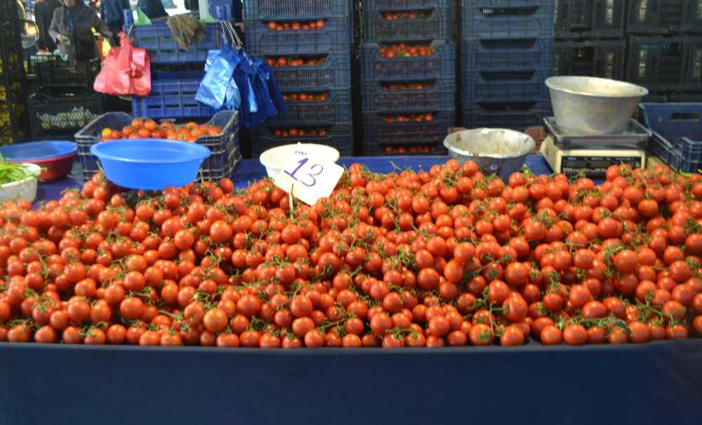 Soğan 10 Liranın Altına Düştü