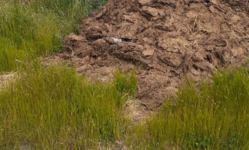 Gelişigüzel Dökülen Hayvan Pislikleri Çevreyi Rahatsız Ediyor