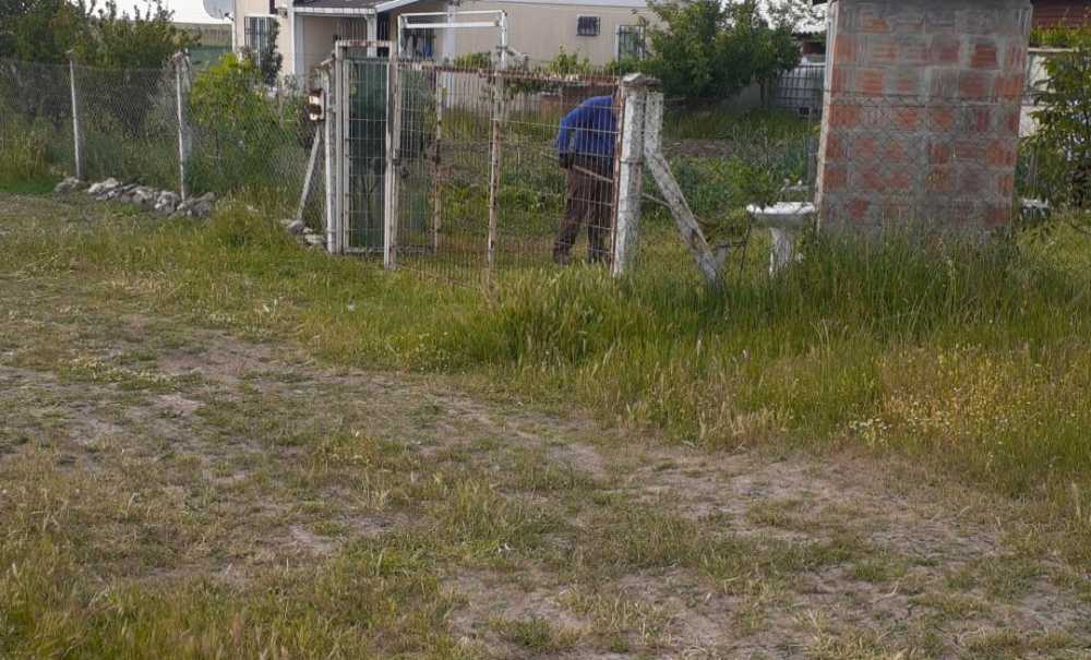 Gelişigüzel Dökülen Hayvan Pislikleri Çevreyi Rahatsız Ediyor