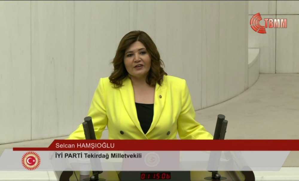 Milletvekilleri Yemin Ederek Görevlerine Başladı