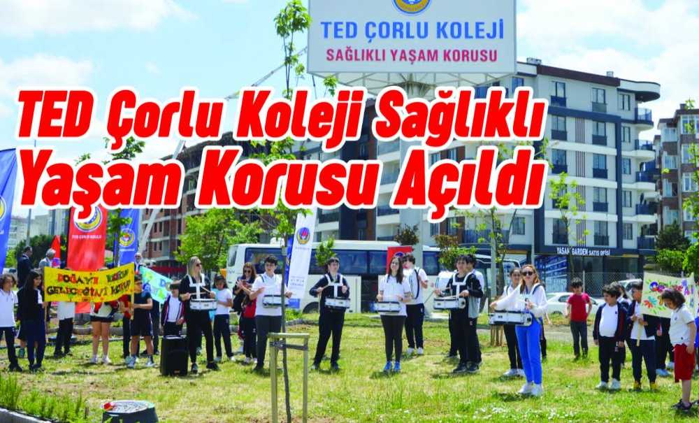 Ted Çorlu Koleji Sağlıklı Yaşam Korusu Açıldı