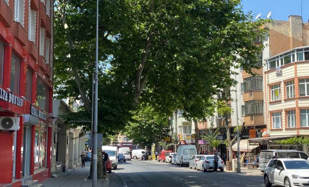 Esnaf Ağaçlardaki Sineklerden Şikayetçi