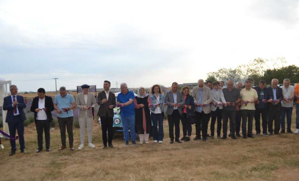 Lavanta Şenlikleri Renkli Görüntülere Sahne Oldu