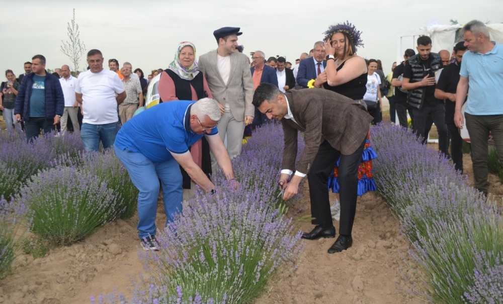 Lavanta Şenlikleri Renkli Görüntülere Sahne Oldu