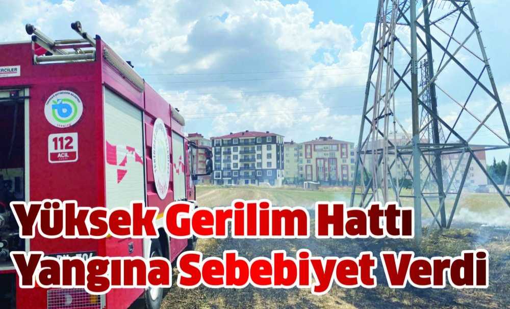 Yüksek Gerilim Hattı Yangına Sebebiyet Verdi