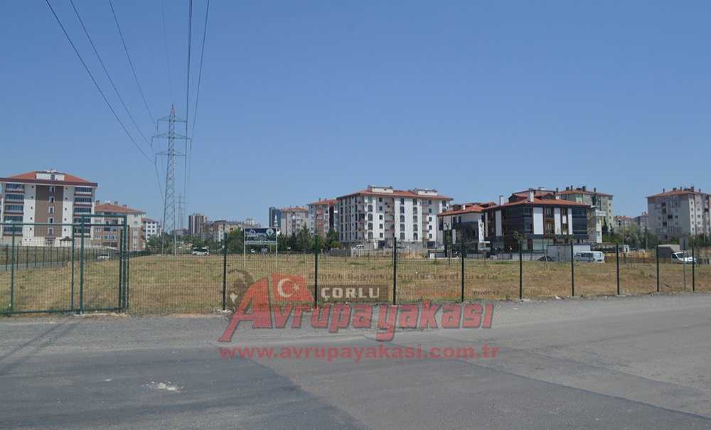 Törenle Açılan Hatıra Ormanı Bakımsızlıktan Kurudu