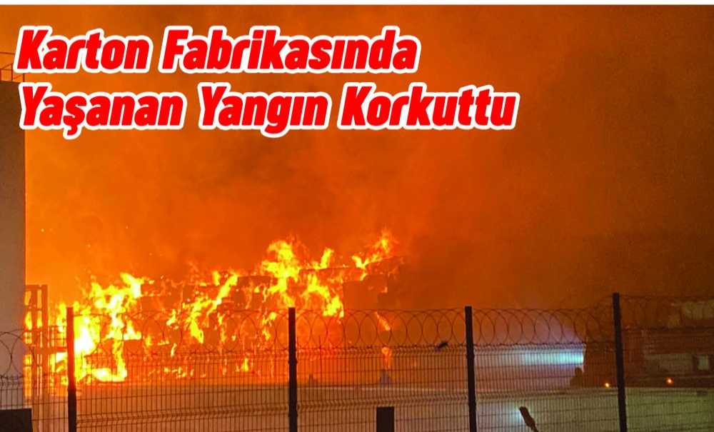Karton Fabrikasında Yaşanan Yangın Korkuttu