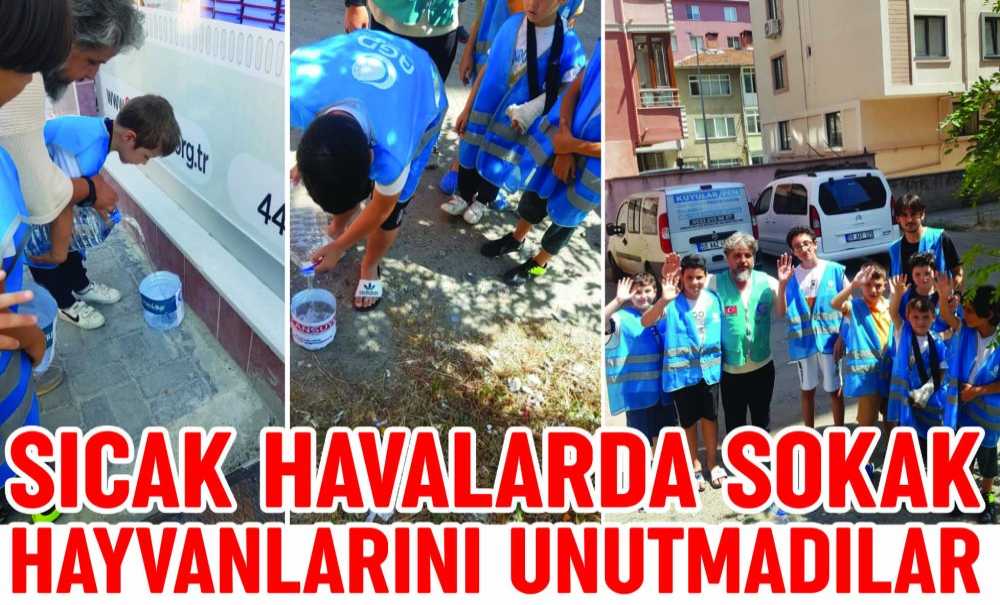 Sıcak Havalarda Sokak Hayvanlarını Unutmadılar