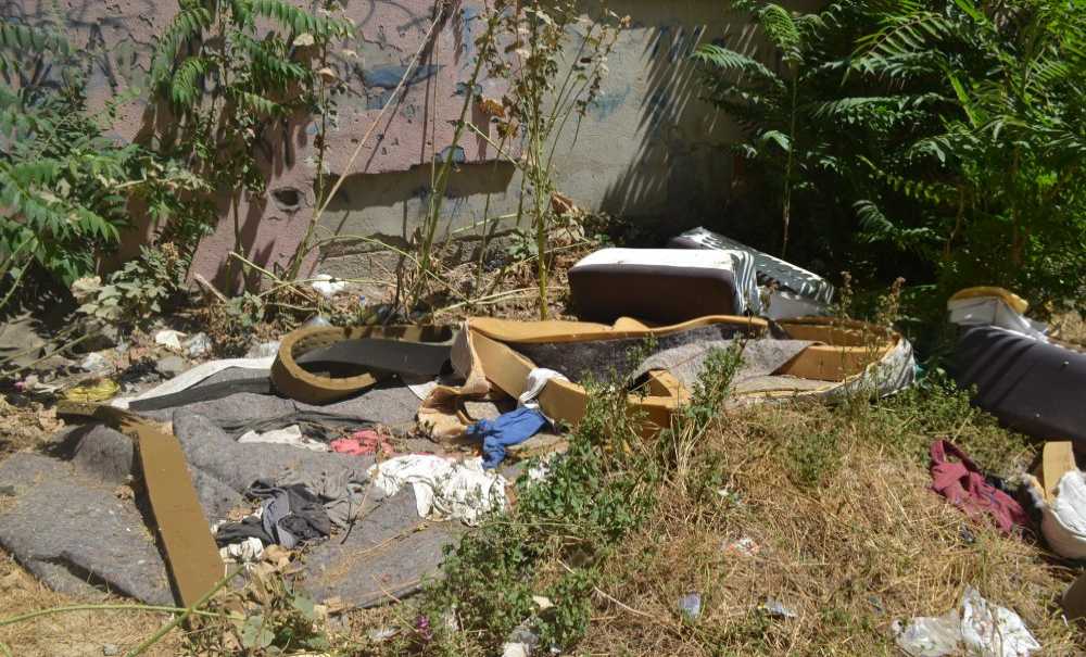 Ağaç Altları Fuhuş Ve Uyuşturucu Yeri Oldu