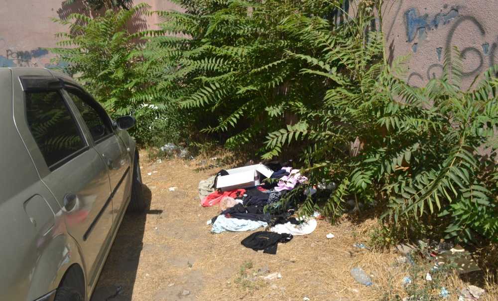 Ağaç Altları Fuhuş Ve Uyuşturucu Yeri Oldu