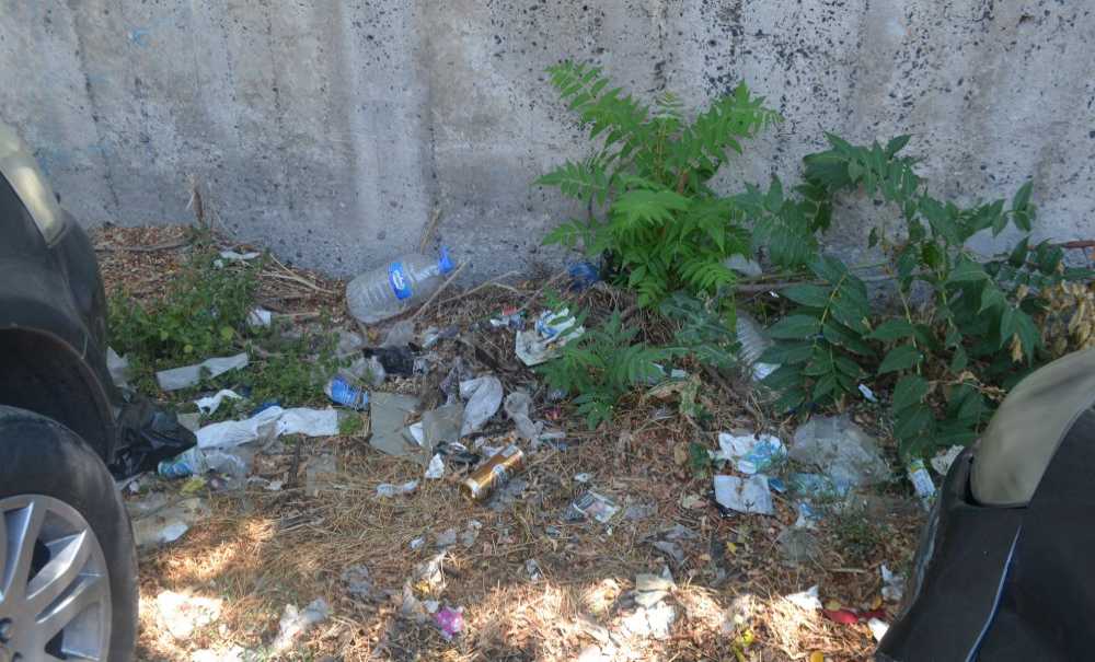 Ağaç Altları Fuhuş Ve Uyuşturucu Yeri Oldu