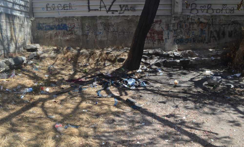 Ağaç Altları Fuhuş Ve Uyuşturucu Yeri Oldu