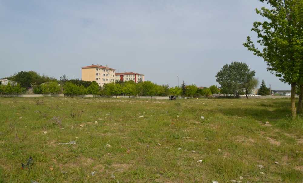 Tam Olimpik Yüzme Havuzu Yapılması Planlanıyor