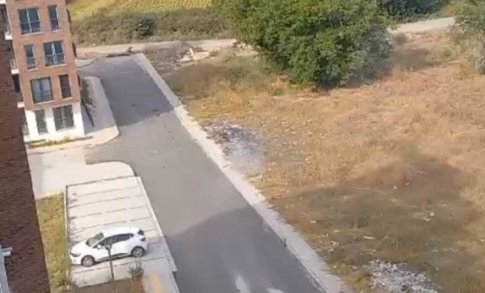 Toki̇'de Çöpler Yakılarak İmha Ediliyor