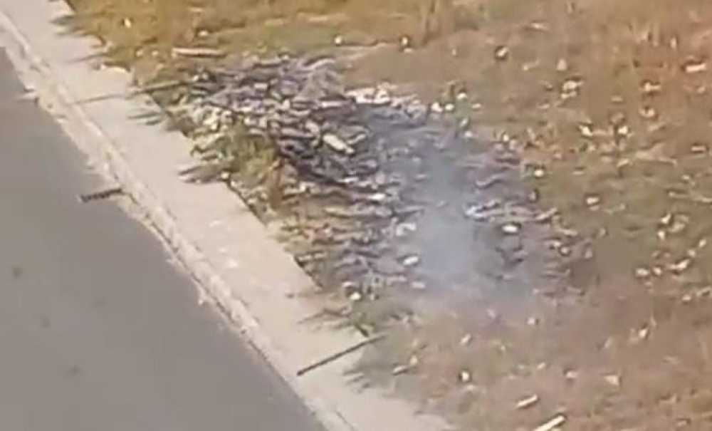 Toki̇'de Çöpler Yakılarak İmha Ediliyor