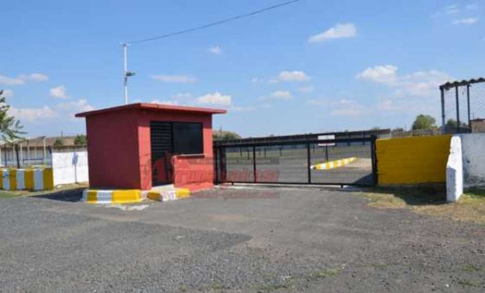 Hayvan Pazarında Dört Dörtlük Çalışmalar