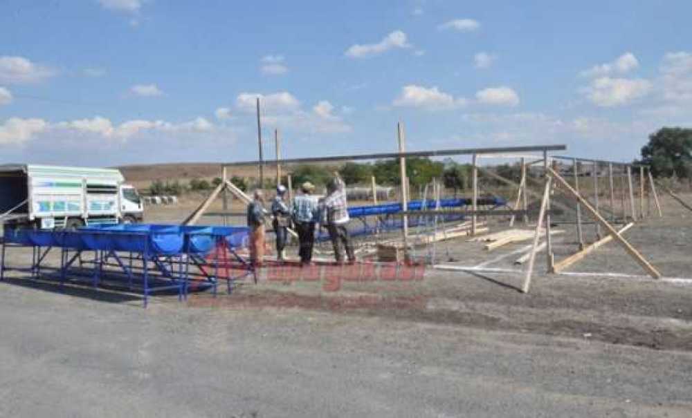 Hayvan Pazarında Dört Dörtlük Çalışmalar