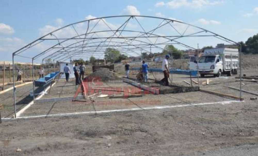 Hayvan Pazarında Dört Dörtlük Çalışmalar