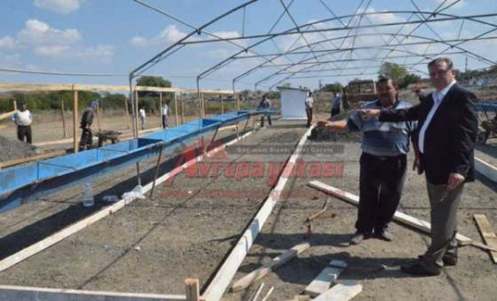 Hayvan Pazarında Dört Dörtlük Çalışmalar