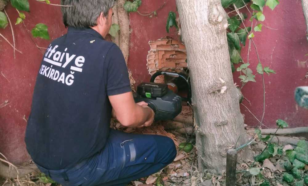 Mahsur Kalan Kedileri İtfaiye Ekipleri Kurtardı