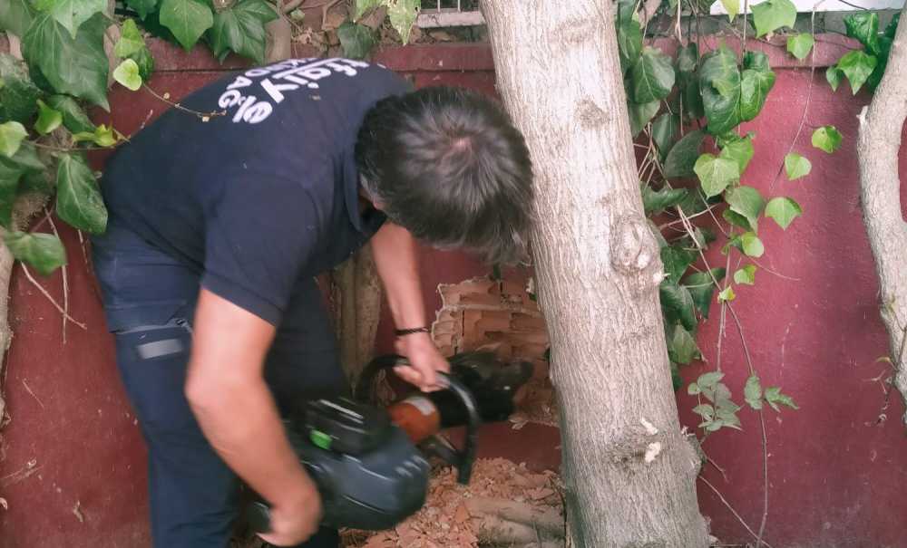 Mahsur Kalan Kedileri İtfaiye Ekipleri Kurtardı