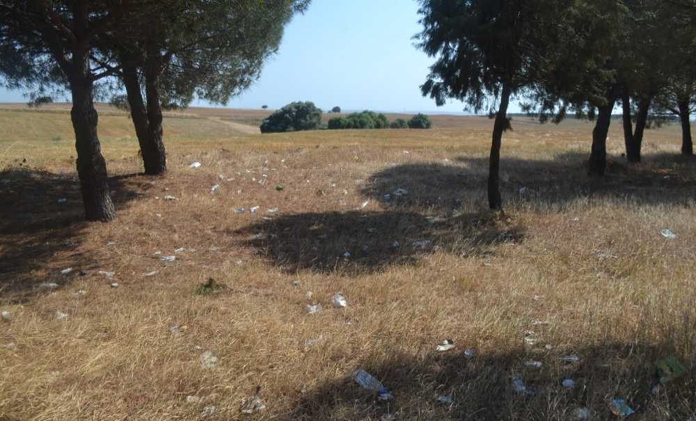 Çorlu Tema Parkı İçin Birleşsin!