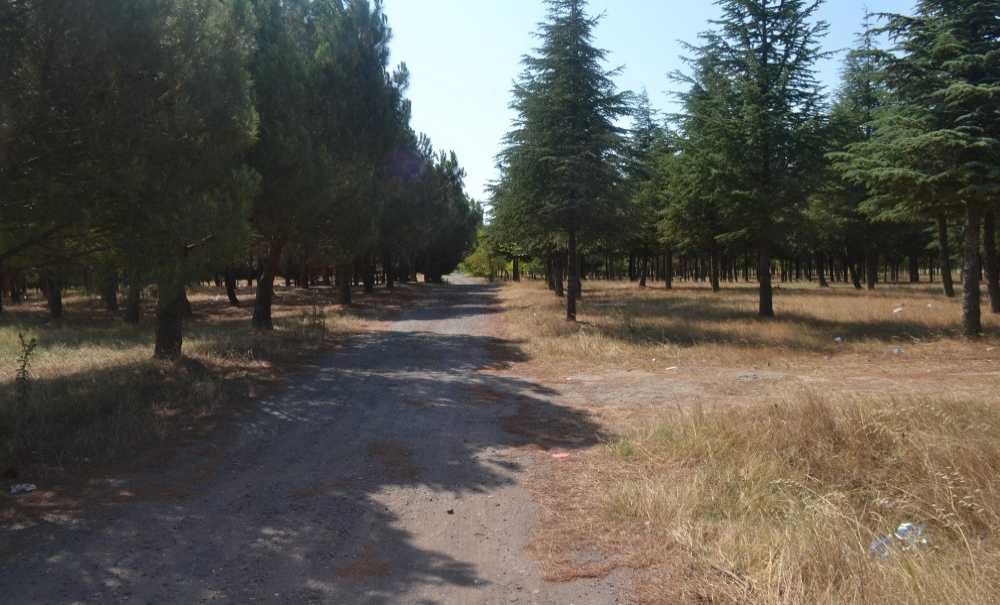 Çorlu Tema Parkı İçin Birleşsin!