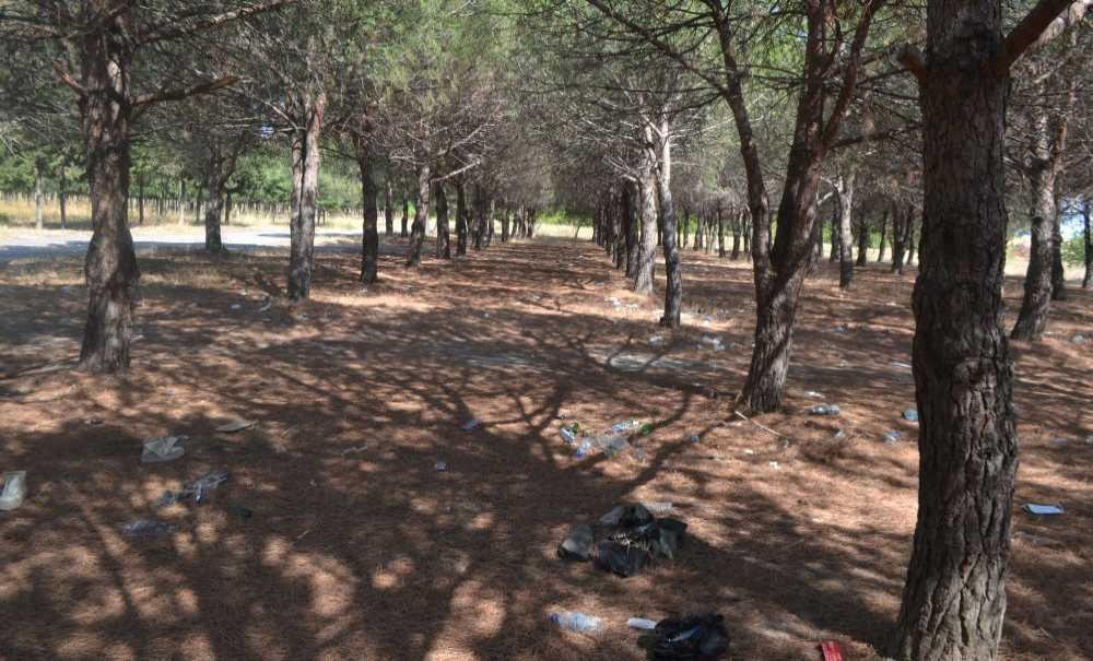 Çorlu Tema Parkı İçin Birleşsin!