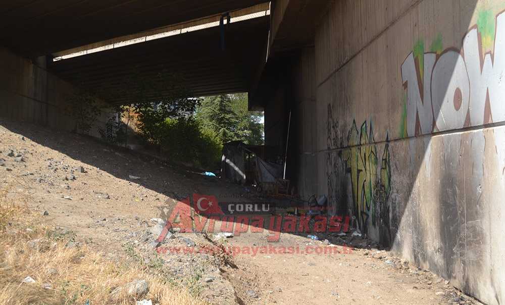 Köprü Altına Baraka Yapıp, Ev Olarak Kullanıyorlar