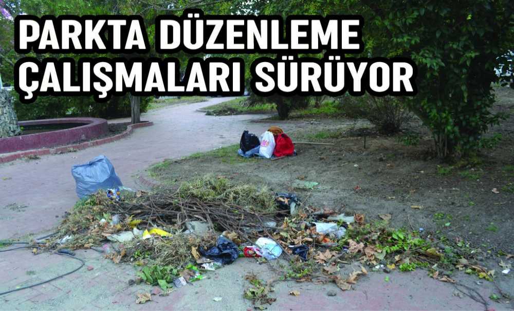 Parkta Düzenleme Çalışmaları Sürüyor