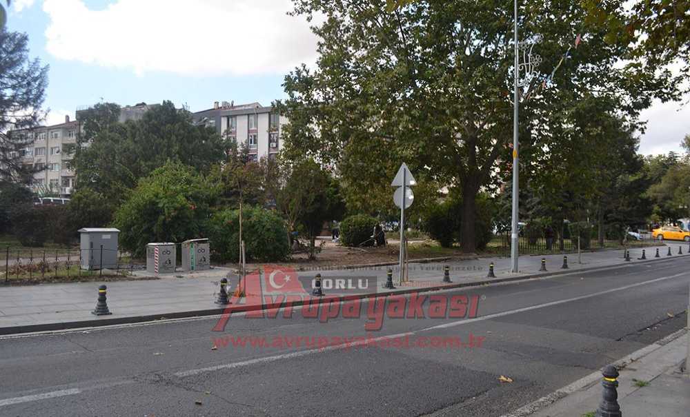 Parkta Düzenleme Çalışmaları Sürüyor