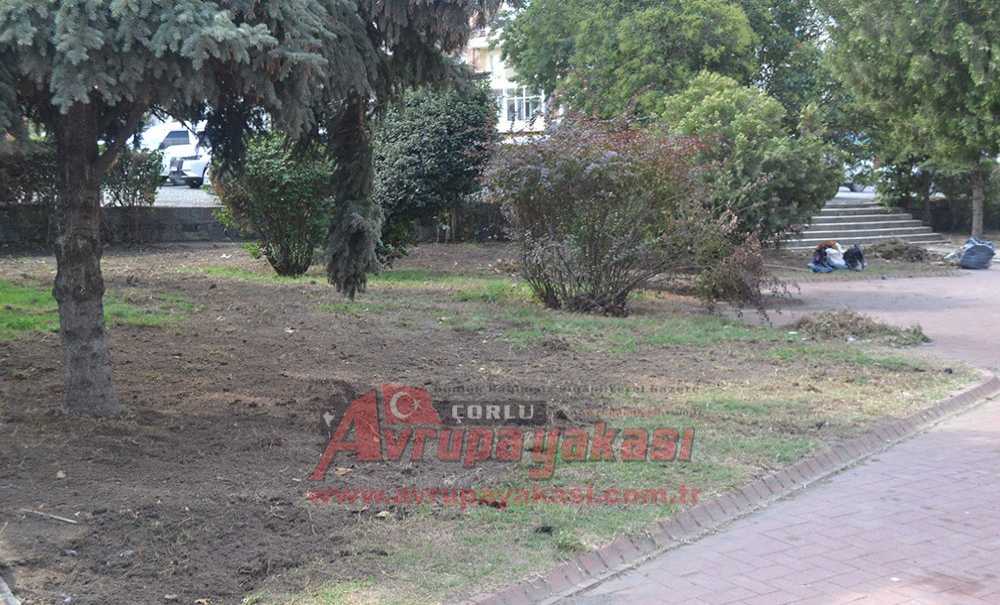 Parkta Düzenleme Çalışmaları Sürüyor